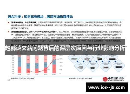 赵鹏谈欠薪问题背后的深层次原因与行业影响分析