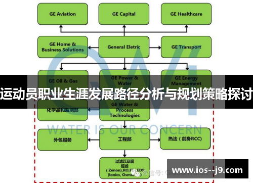 运动员职业生涯发展路径分析与规划策略探讨 运动员职业生涯发展路径分析与规划策略探讨