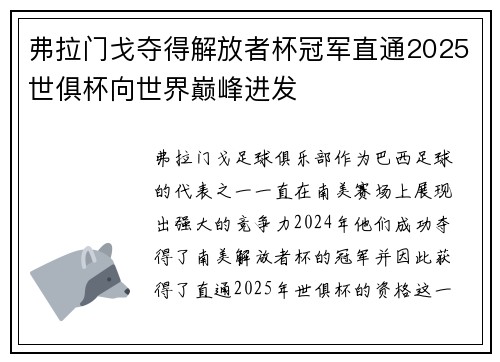 弗拉门戈夺得解放者杯冠军直通2025世俱杯向世界巅峰进发 弗拉门戈夺得解放者杯冠军直通2025世俱杯向世界巅峰进发